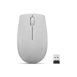 Souris sans fil LENOVO 300