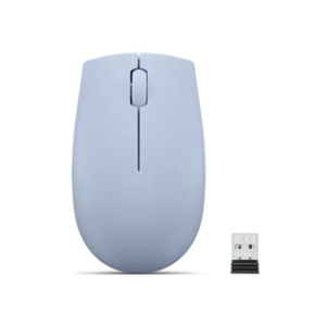 Souris sans fil LENOVO 300
